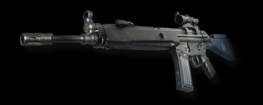 HK33 Rifle